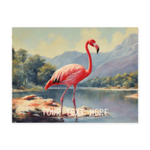 Wildlife Pink Flamingo River Mountain 