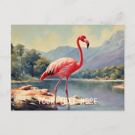 Wildlife Pink Flamingo River Mountain  Briefkaart (Voorkant)