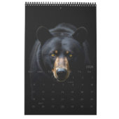 Wildlife Portret Kalender (Jan 2026)