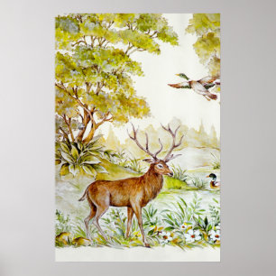 Wildlife Poster
