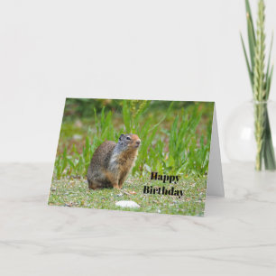 Wildlife Prairie Dog Foto van Birthday Kaart