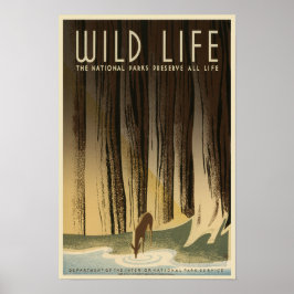 Wildlife Preservation - National Park Service Poster