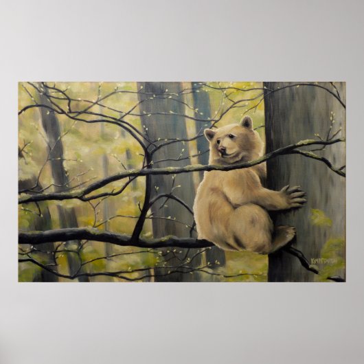 Wildlife Prints Canadian Kermode Beer Painting (Voorkant)