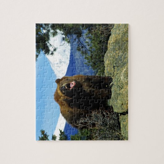 Wildlife Puzzel-Beer Legpuzzel (Verticaal)