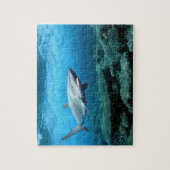 wildlife puzzel-haai legpuzzel (Verticaal)