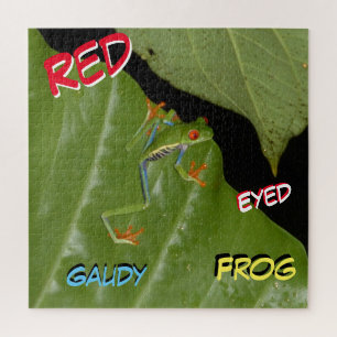 Wildlife Puzzel: Red Eyed Gaudy Frog Jigsaw Puzzel