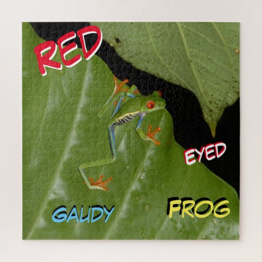Wildlife Puzzel: Red Eyed Gaudy Frog Jigsaw Puzzel (Verticaal)