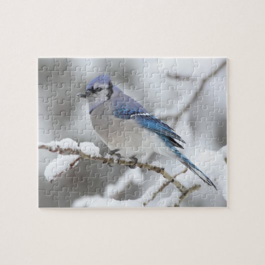Wildlife Puzzle-Blue Jay Legpuzzel (Horizontaal)