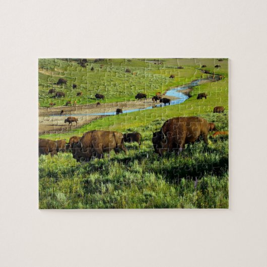 Wildlife Puzzle-Buffalo Jigzaag Puzzle Legpuzzel (Horizontaal)