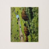 Wildlife Puzzle-Buffalo Jigzaag Puzzle Legpuzzel (Verticaal)
