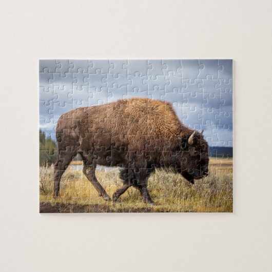 Wildlife Puzzle-Buffalo Jigzaag Puzzle Legpuzzel (Horizontaal)