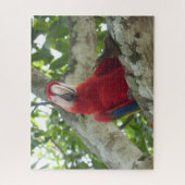 Wildlife Puzzle: Colorful Red Parrot Legpuzzel (Verticaal)