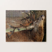 Wildlife Puzzle-Deer Legpuzzel (Horizontaal)