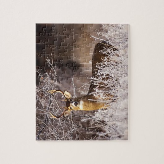 Wildlife Puzzle-Deer Legpuzzel (Verticaal)