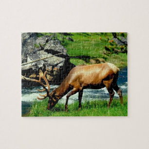 Wildlife Puzzle-Elk Legpuzzel
