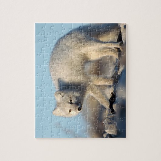 Wildlife Puzzle-Fox Legpuzzel (Verticaal)