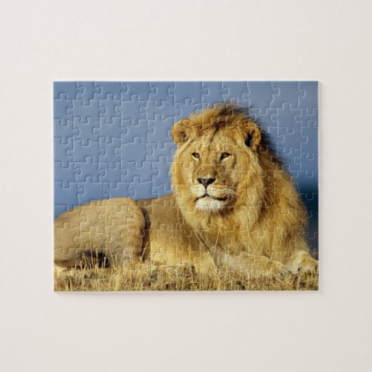 Wildlife Puzzle-Lion Legpuzzel (Horizontaal)
