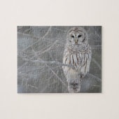 Wildlife Puzzle-Owl Jigzaag Puzzle Legpuzzel (Horizontaal)