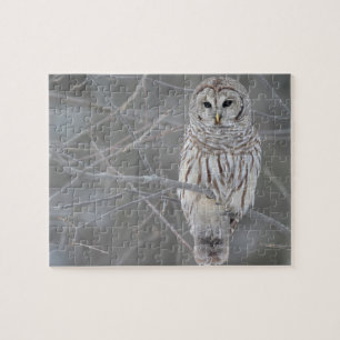 Wildlife Puzzle-Owl Jigzaag Puzzle Legpuzzel