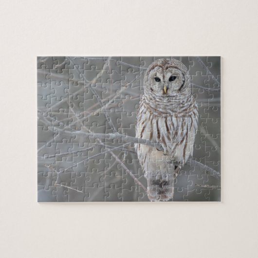 Wildlife Puzzle-Owl Jigzaag Puzzle Legpuzzel (Horizontaal)