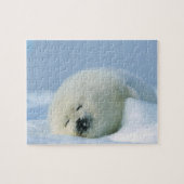 Wildlife Puzzle-Seal Pup Legpuzzel (Horizontaal)