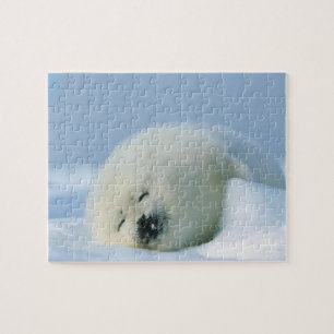 Wildlife Puzzle-Seal Pup Legpuzzel