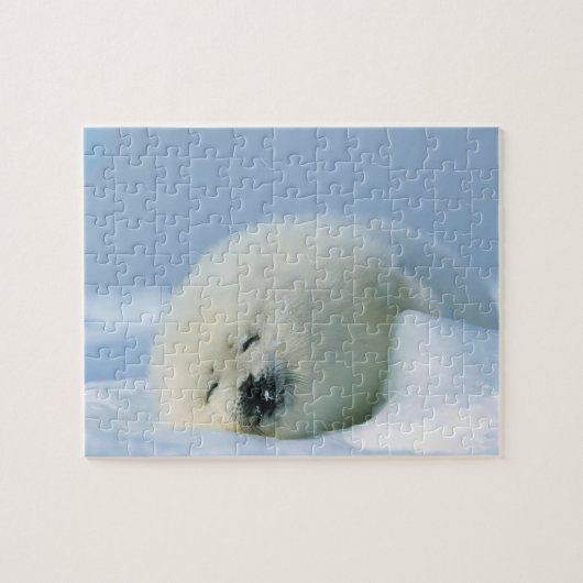 Wildlife Puzzle-Seal Pup Legpuzzel (Horizontaal)