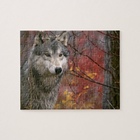 Wildlife Puzzle-Wolf Legpuzzel (Horizontaal)