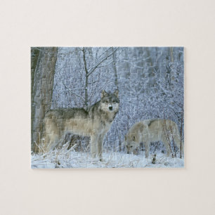 Wildlife Puzzle-Wolves Legpuzzel