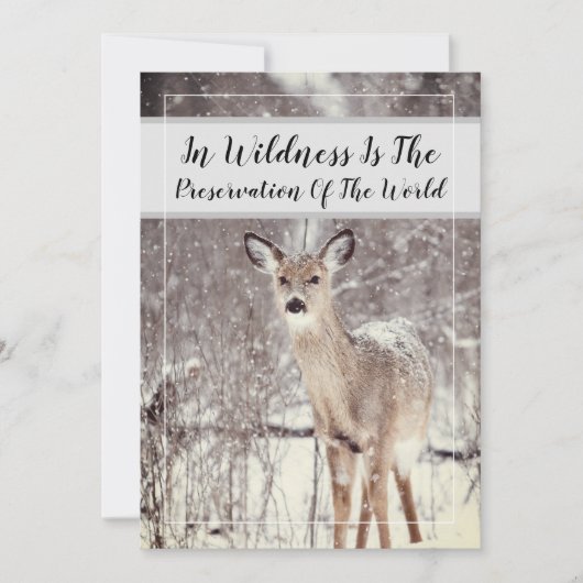 Wildlife Quote Woodland Deer Snow Winter Holiday Feestdagenkaart (Voorkant)