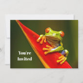 Wildlife Red Eyed Tree Frog Foto Verjaardag Kaart (Voorkant)