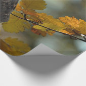 Wildlife Red Tailed Hawk Autumn Foto Cadeaupapier (Hoek)