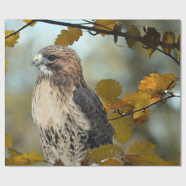 Wildlife Red Tailed Hawk Autumn Foto Cadeaupapier