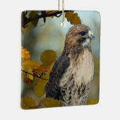 Wildlife Red Tailed Hawk Autumn Foto Keramisch Ornament (Rechts)