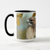 Wildlife Red Tailed Hawk Autumn Foto Mok (Links)