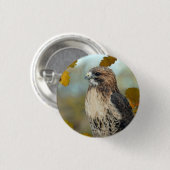 Wildlife Red Tailed Hawk Autumn Foto Ronde Button 3,2 Cm (Voorkant /achterkant)