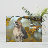 Wildlife Red Tailed Hawk Herfst Foto Verjaardag Kaart (Staand voorkant)