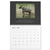 Wildlife reeks van de Bijbelse Verse Kalender (Mar 2027)