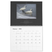 Wildlife reeks van de Bijbelse Verse Kalender (Feb 2026)