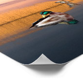 Wildlife Reserve Poster (Hoek)