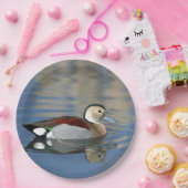 Wildlife Ringed Blauwgroen Duck Foto Papieren Bordje (Feest)