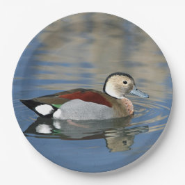 Wildlife Ringed Blauwgroen Duck Foto Papieren Bordje