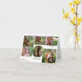 Wildlife Romantic Humor Kaart (Gele Bloem)