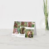 Wildlife Romantic Humor Kaart (Voorkant)