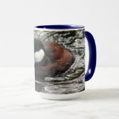 Wildlife Ruddy Duck Foto Mok (Voorkant rechts)