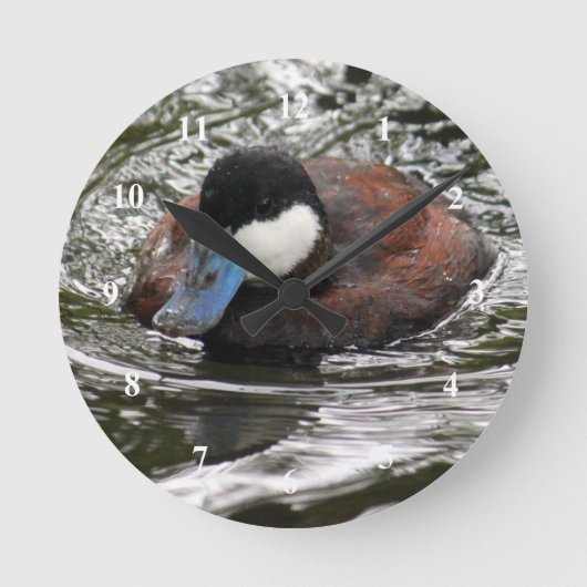 Wildlife Ruddy Duck Photo Ronde Klok (Voorkant)