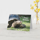 Wildlife schildpad foto verjaardag kaart (Gele Bloem)