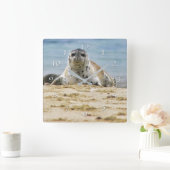 Wildlife Seal Beach La Jolla Cove Vierkante Klok (Huis)