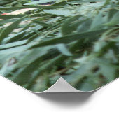 Wildlife Set - Baby Gorilla Close-up Poster (Hoek)