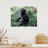 Wildlife Set - Baby Gorilla Close-up Poster (Keuken)